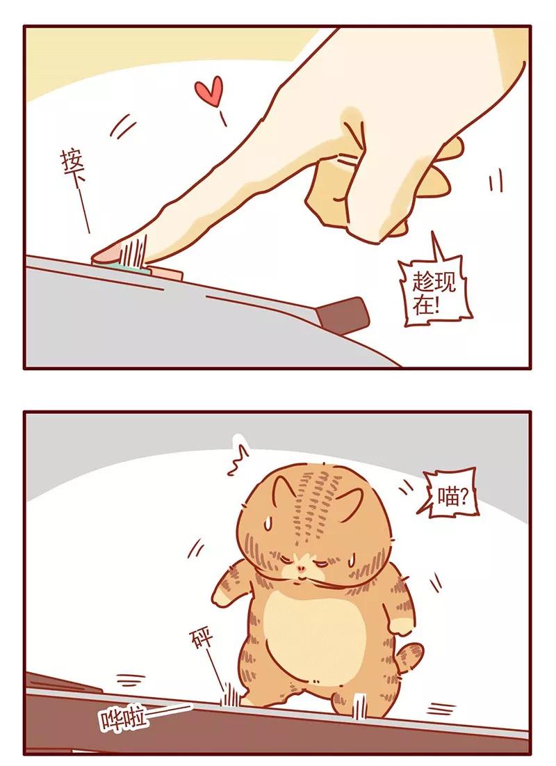 我只是一只小猫咪 第22话 第14页