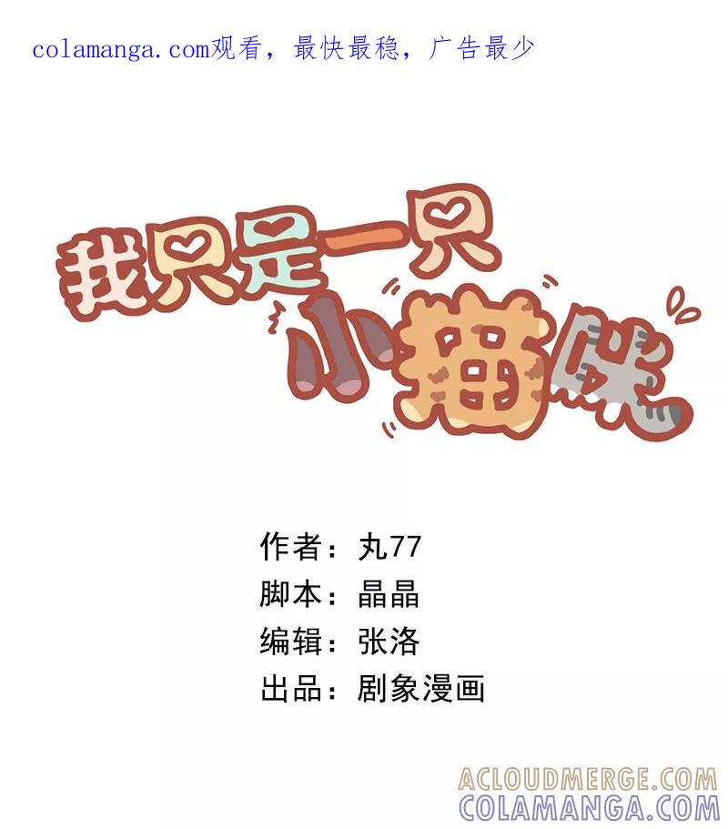 我只是一只小猫咪 第23话 第1页