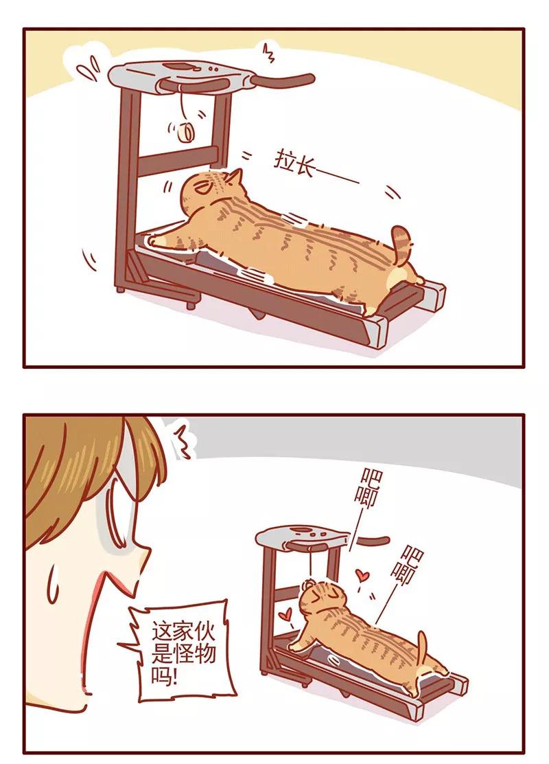 我只是一只小猫咪 第23话 第6页