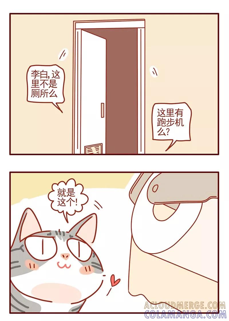 我只是一只小猫咪 第23话 第13页