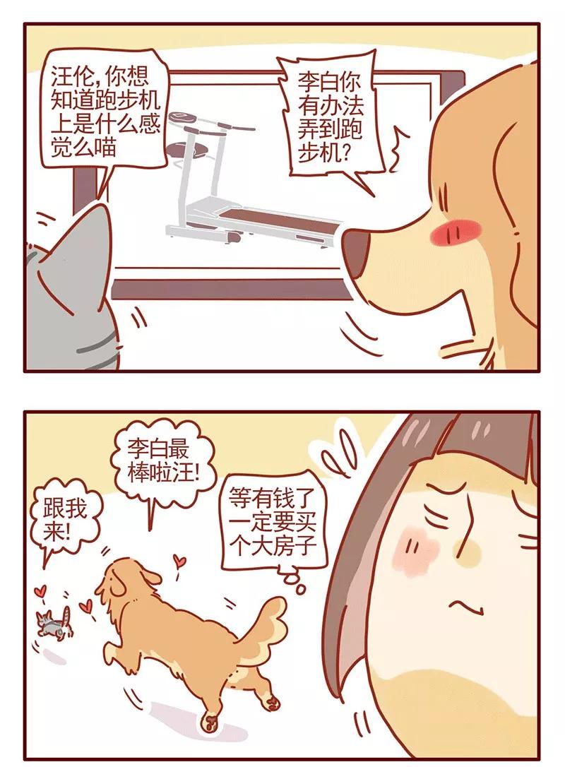 我只是一只小猫咪 第23话 第12页