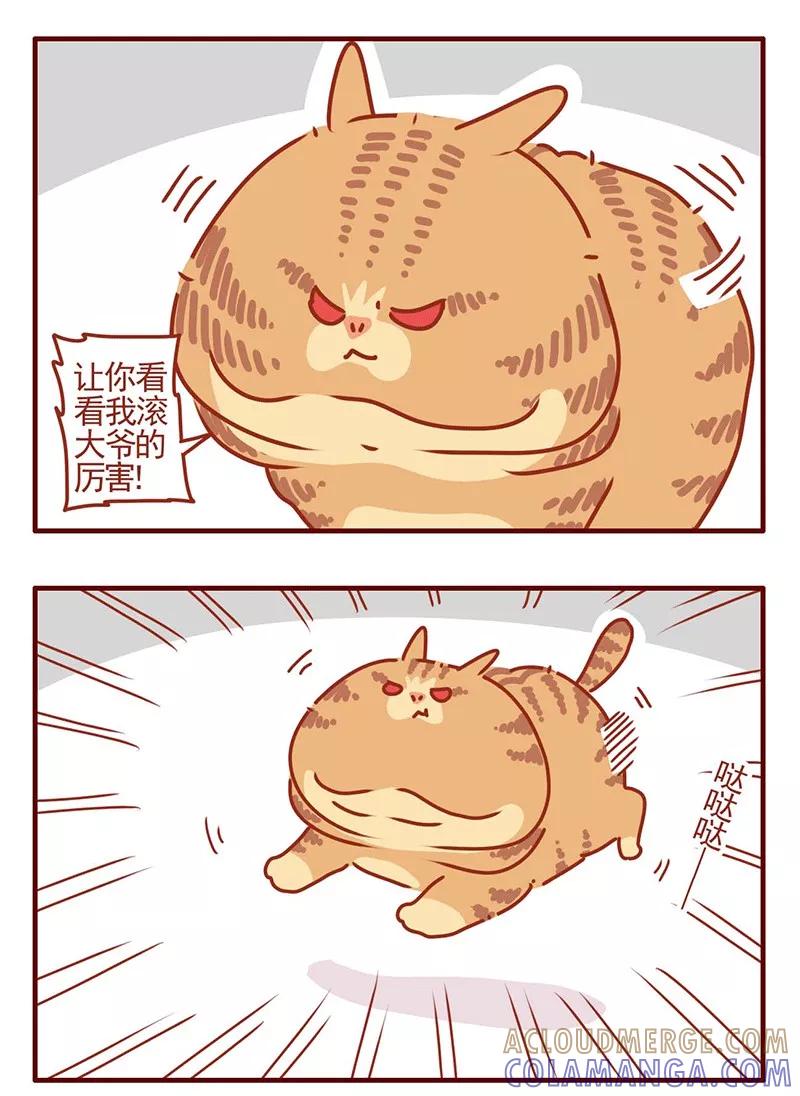 我只是一只小猫咪 第23话 第3页