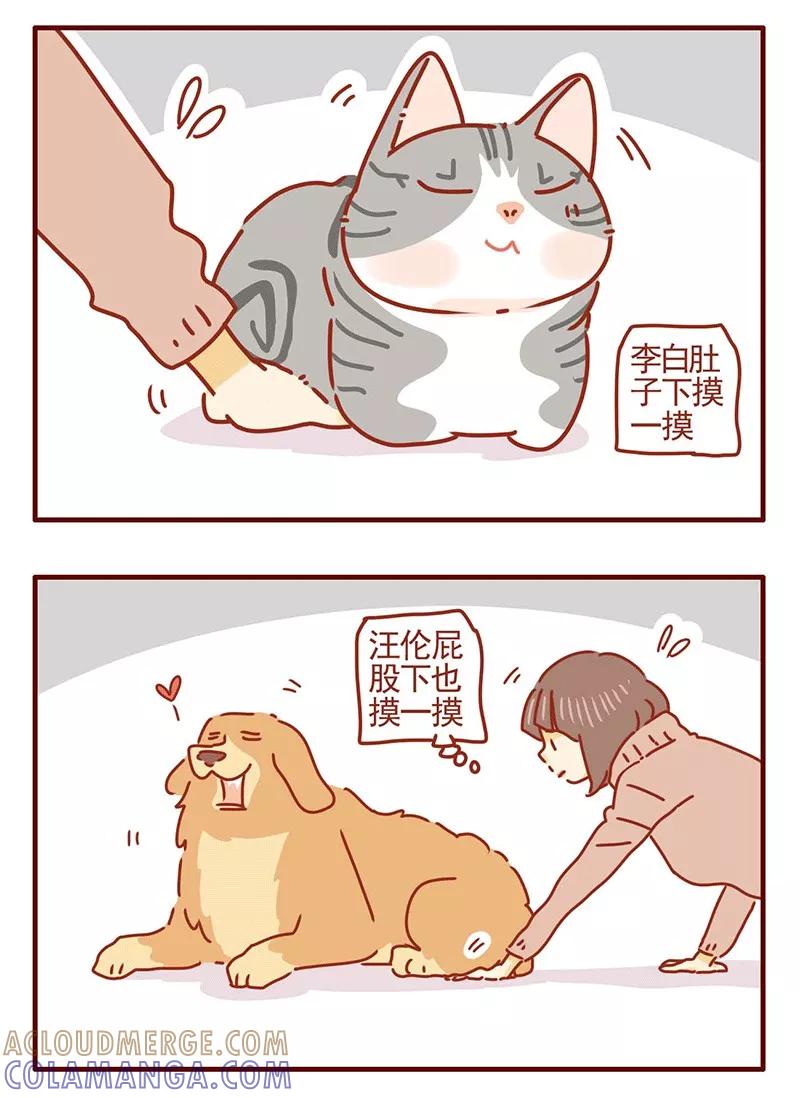 我只是一只小猫咪 第24话 第13页