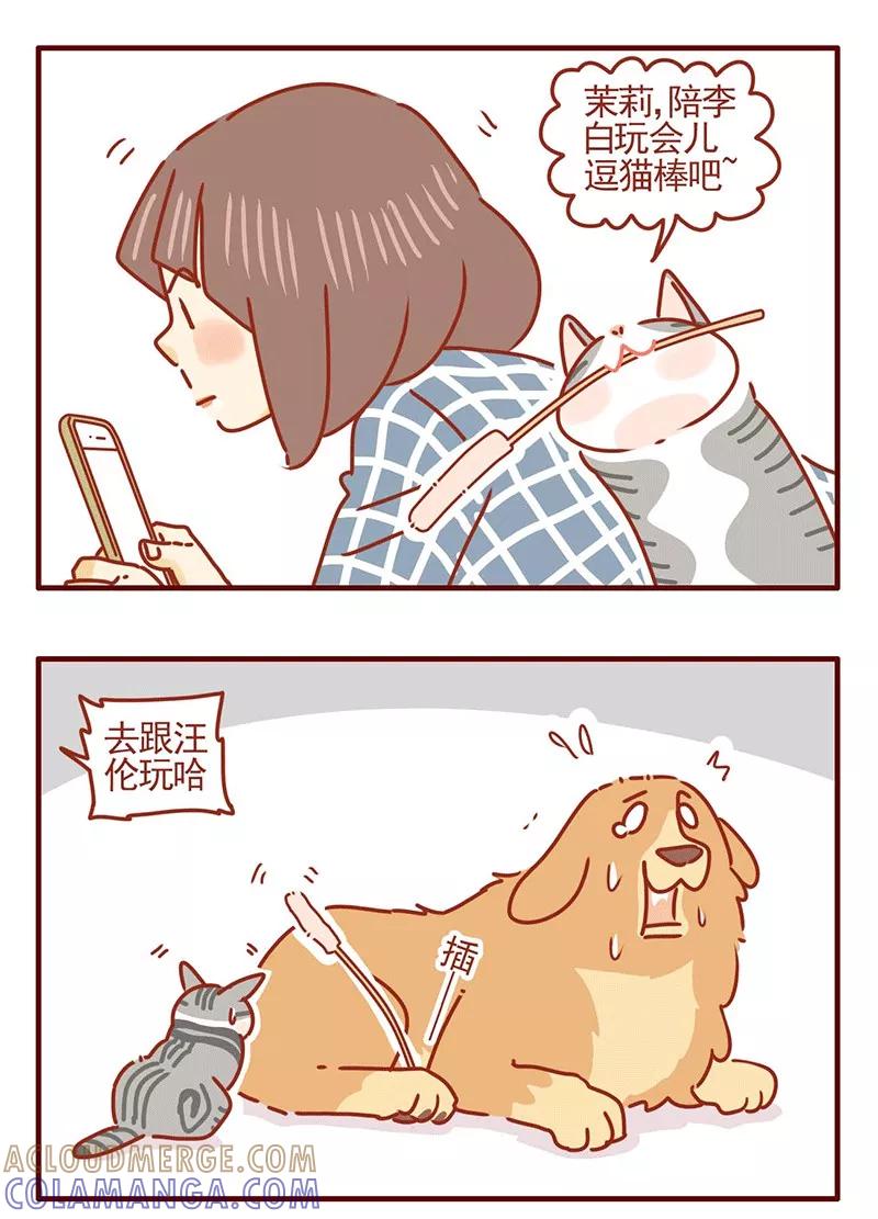 我只是一只小猫咪 第24话 第5页