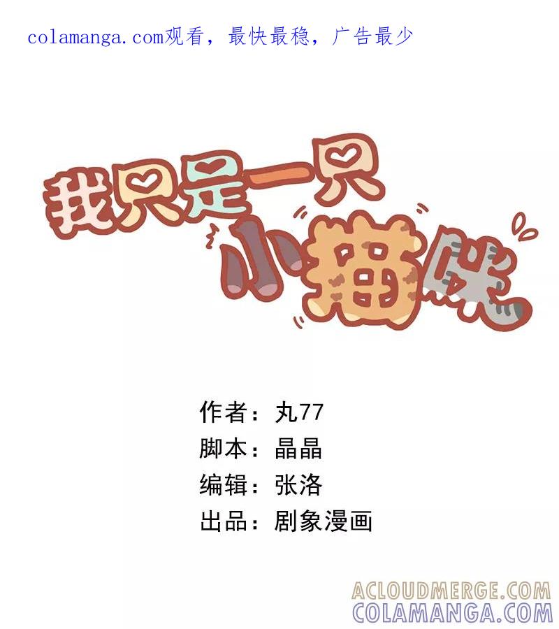 我只是一只小猫咪 第24话 第1页