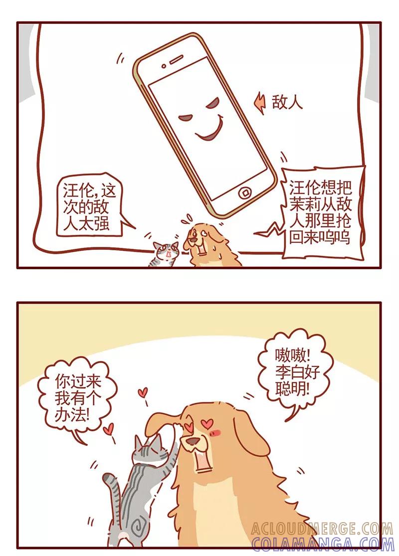 我只是一只小猫咪 第24话 第11页