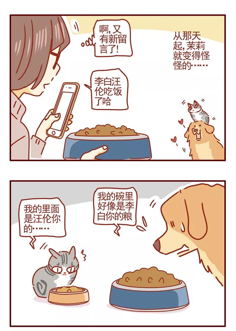 我只是一只小猫咪 第24话 第6页