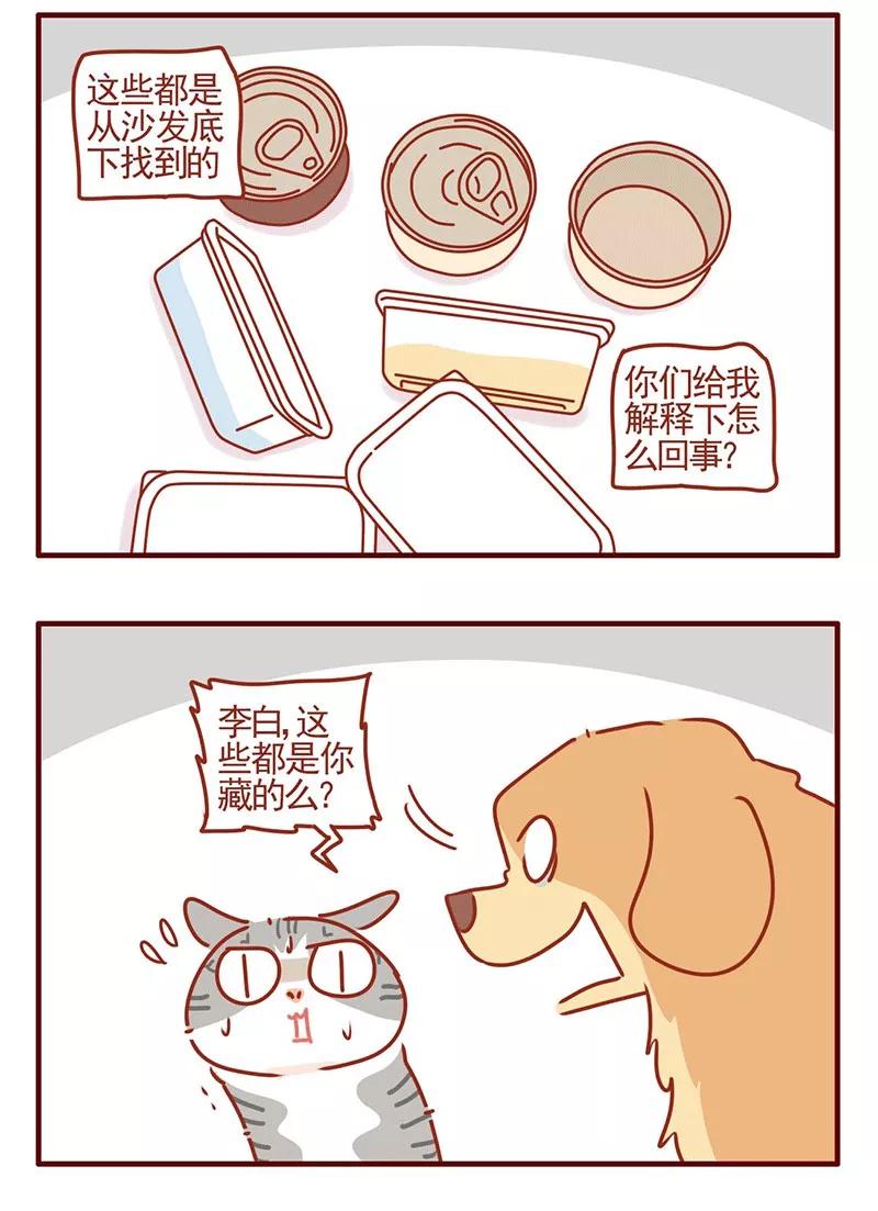 我只是一只小猫咪 第25话 第4页