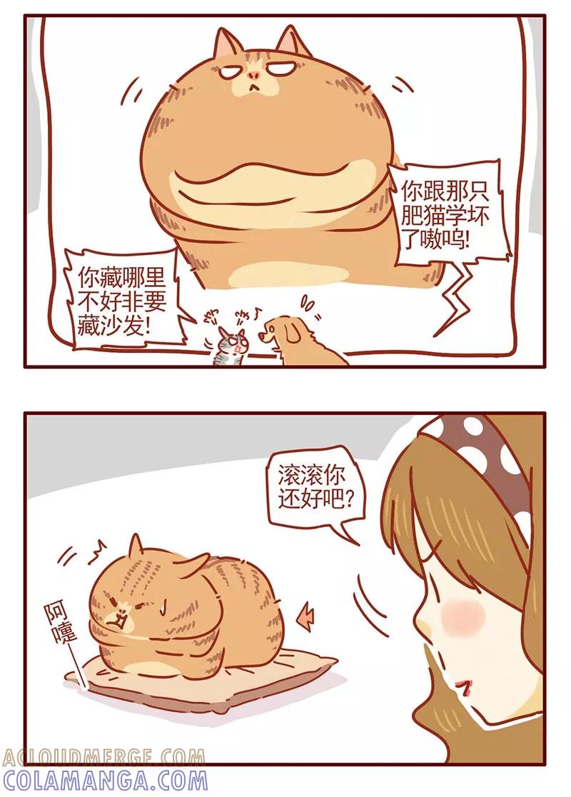 我只是一只小猫咪 第25话 第5页