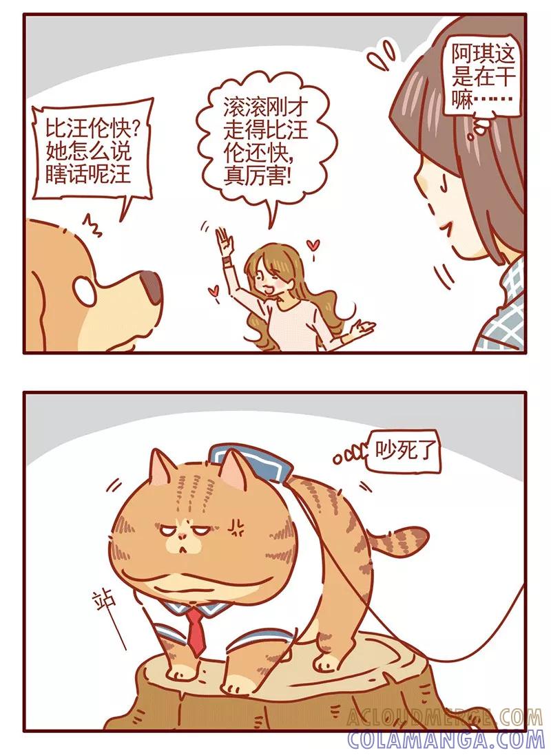 我只是一只小猫咪 第25话 第13页