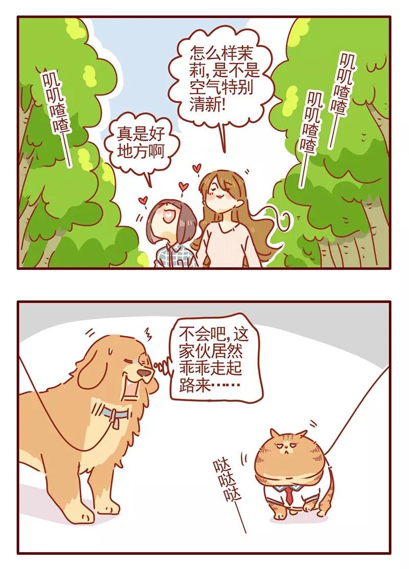 我只是一只小猫咪 第25话 第10页