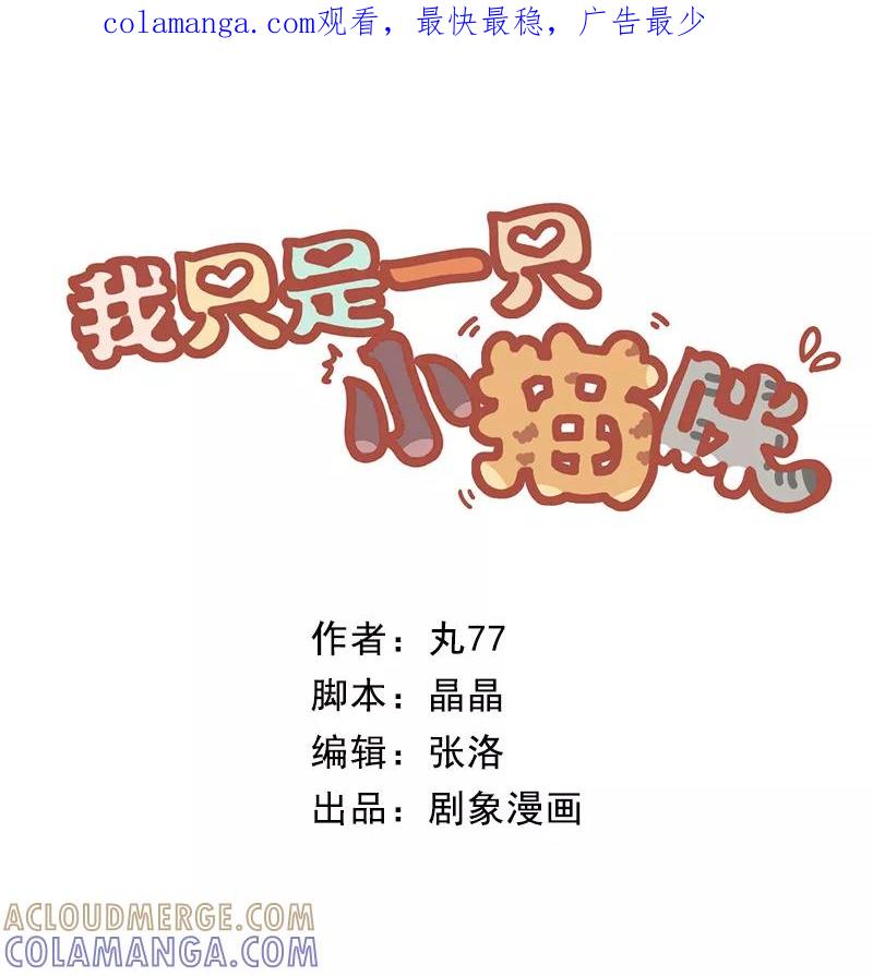 我只是一只小猫咪 第25话 第1页