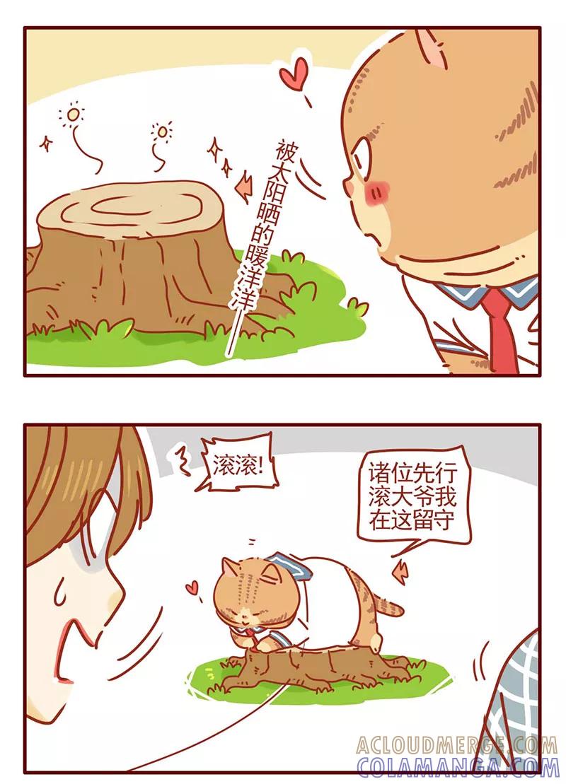 我只是一只小猫咪 第25话 第11页