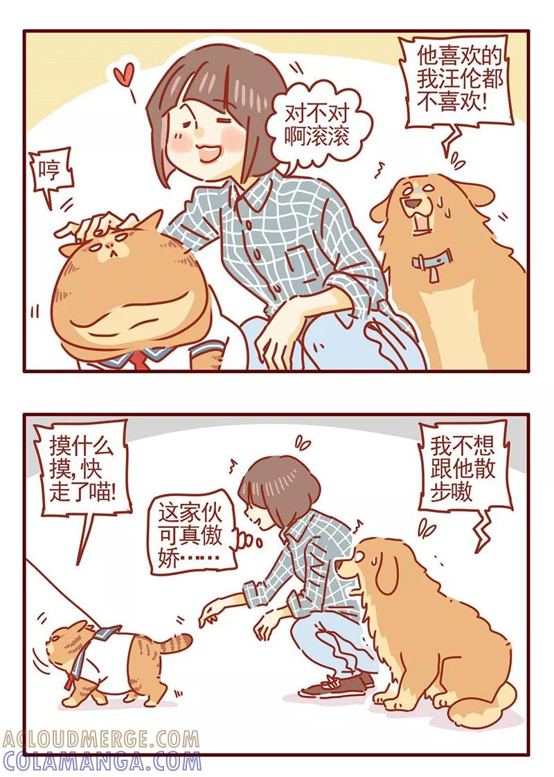 我只是一只小猫咪 第25话 第9页