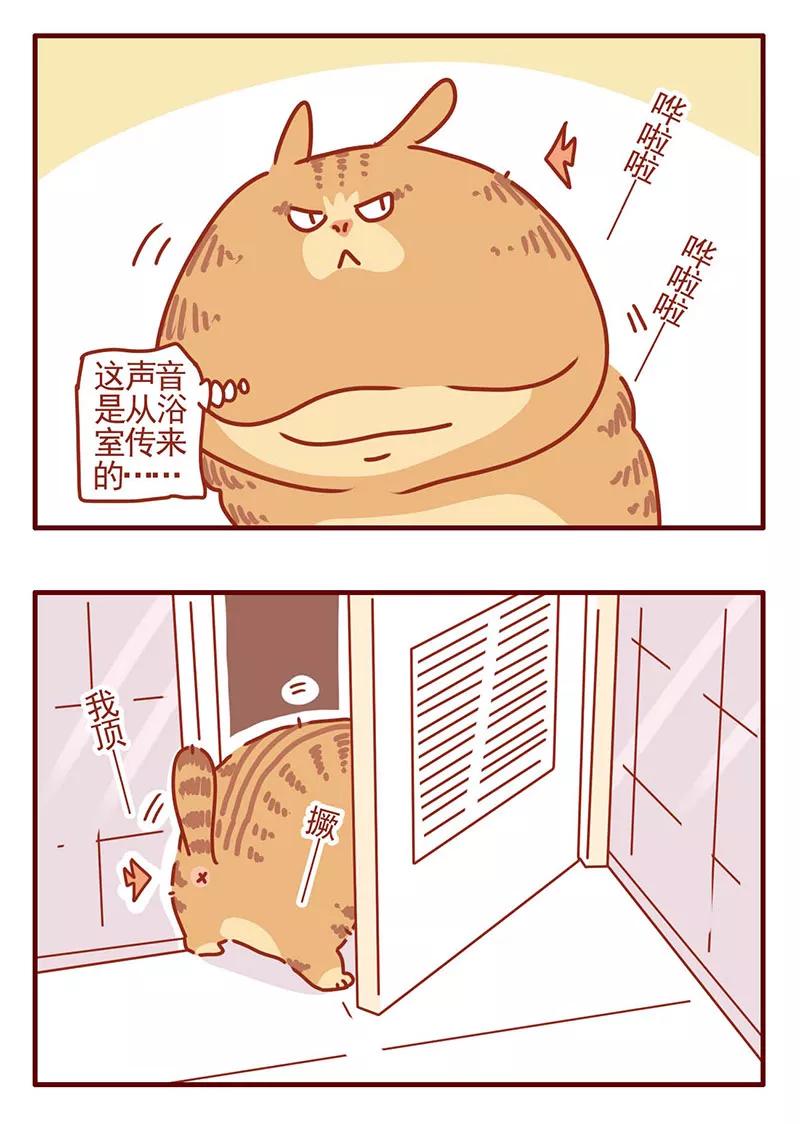 我只是一只小猫咪 第26话 第14页