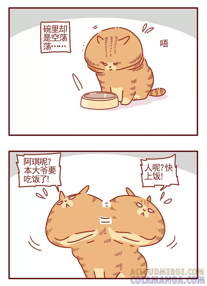 我只是一只小猫咪 第26话 第13页