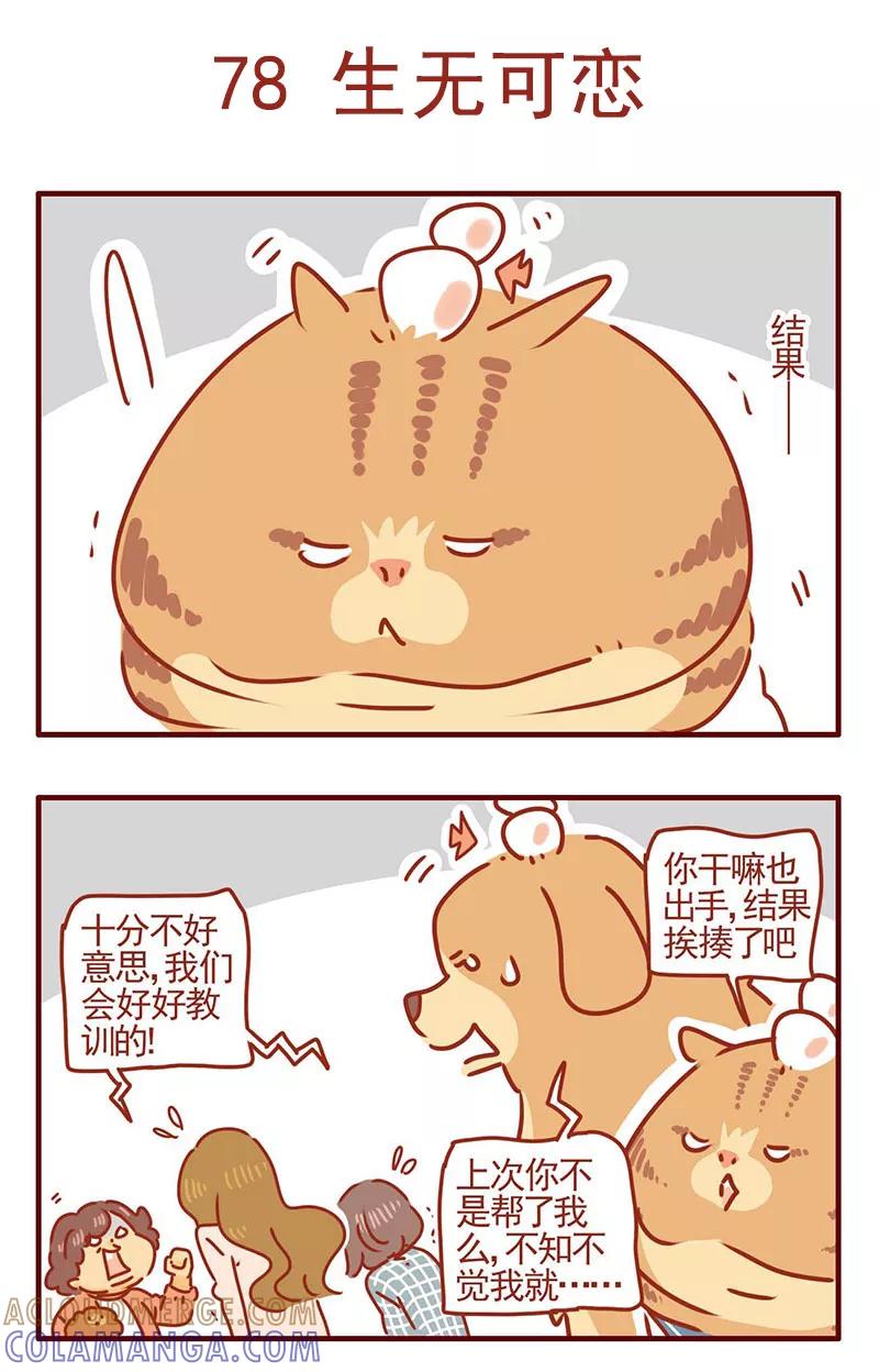 我只是一只小猫咪 第26话 第7页