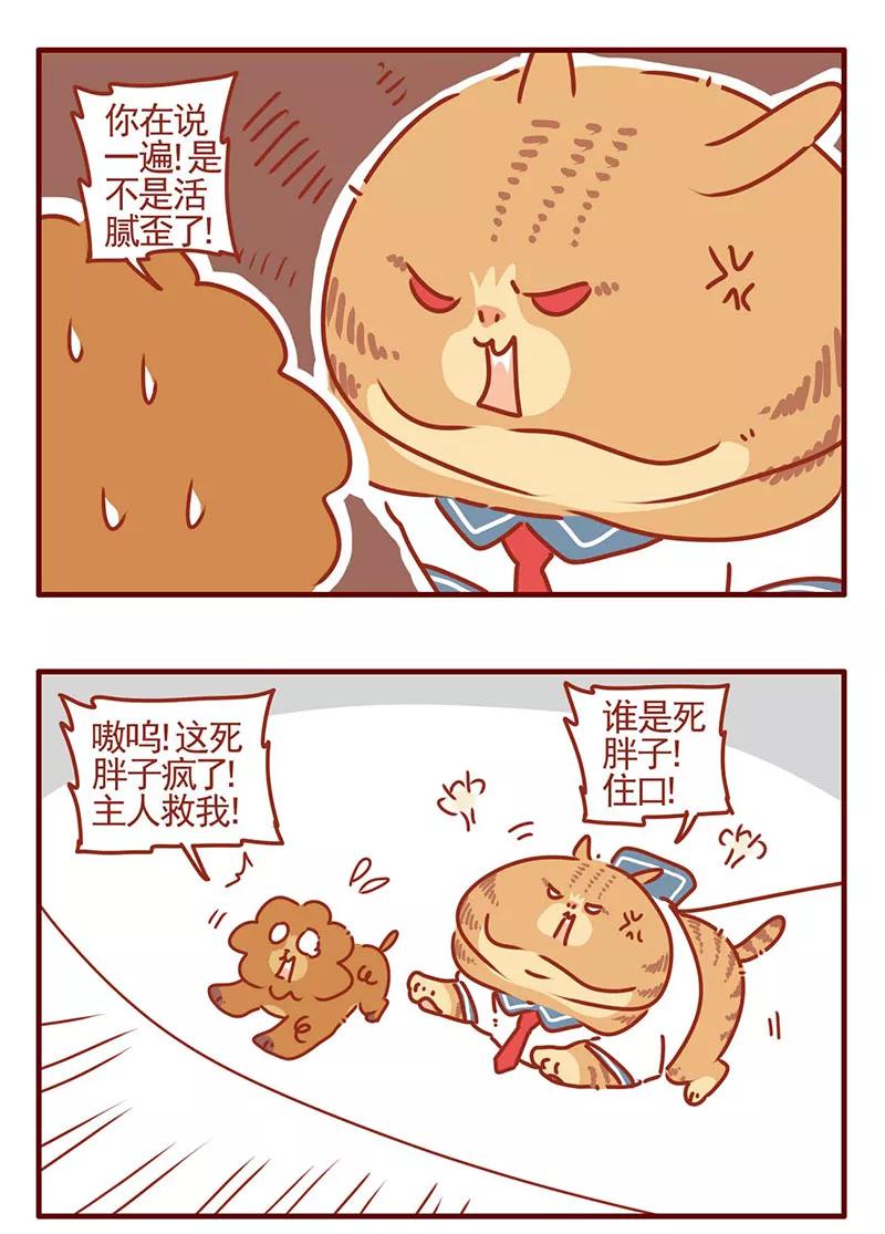 我只是一只小猫咪 第26话 第6页