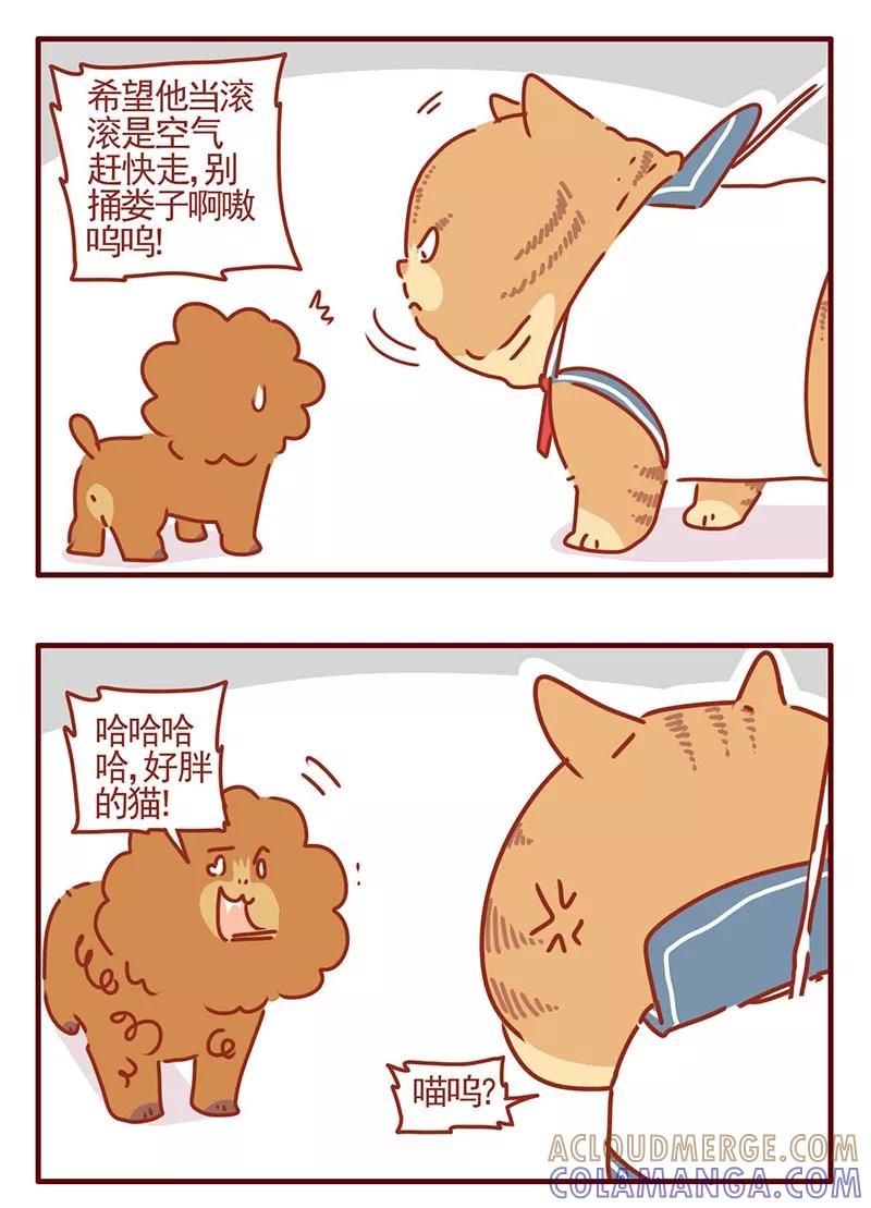 我只是一只小猫咪 第26话 第5页