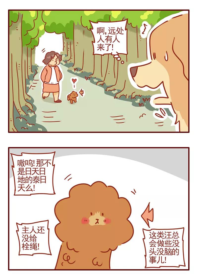 我只是一只小猫咪 第26话 第4页