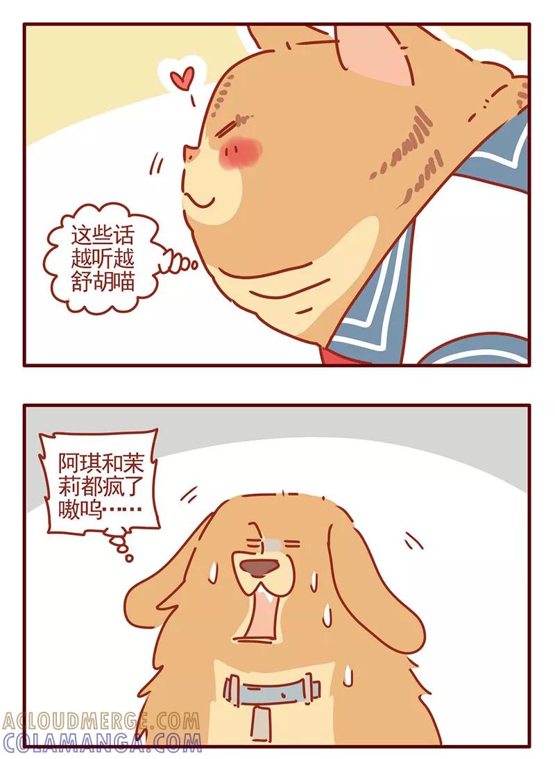 我只是一只小猫咪 第26话 第3页