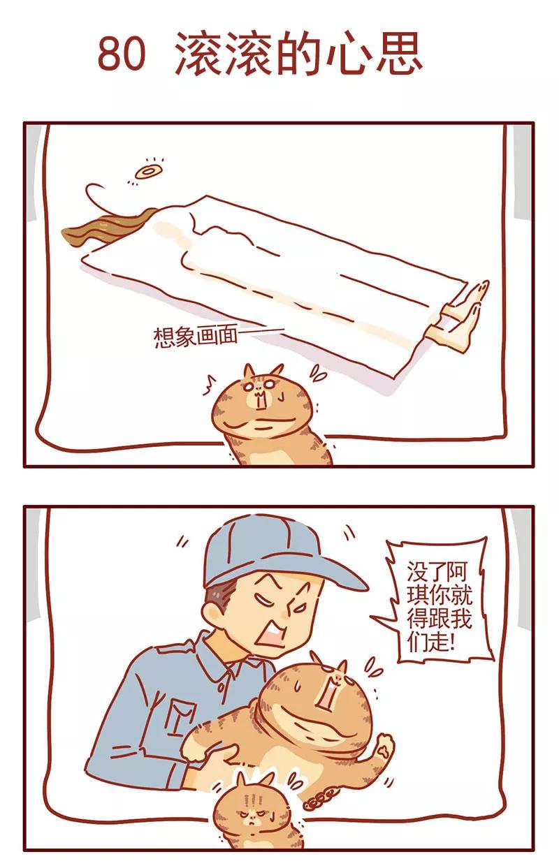 我只是一只小猫咪 第27话 第2页