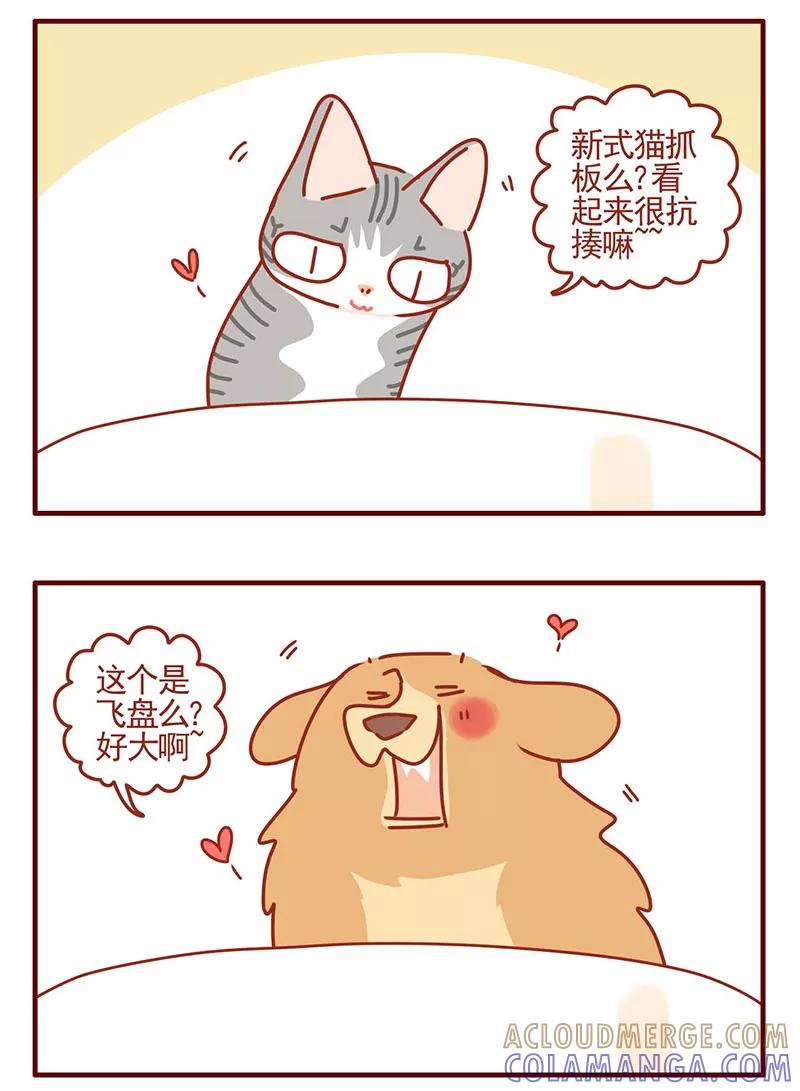 我只是一只小猫咪 第27话 第15页