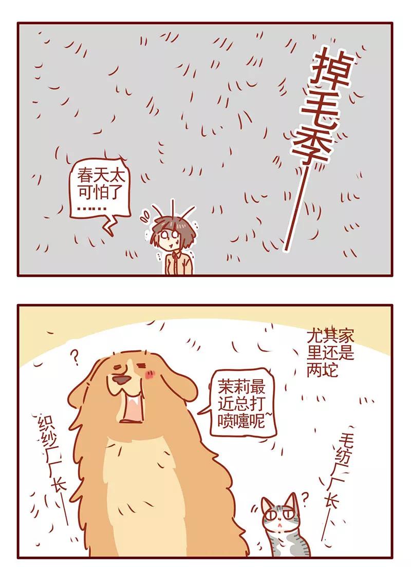 我只是一只小猫咪 第27话 第12页