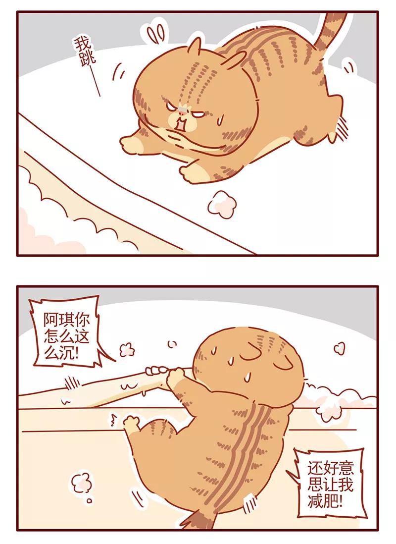 我只是一只小猫咪 第27话 第4页
