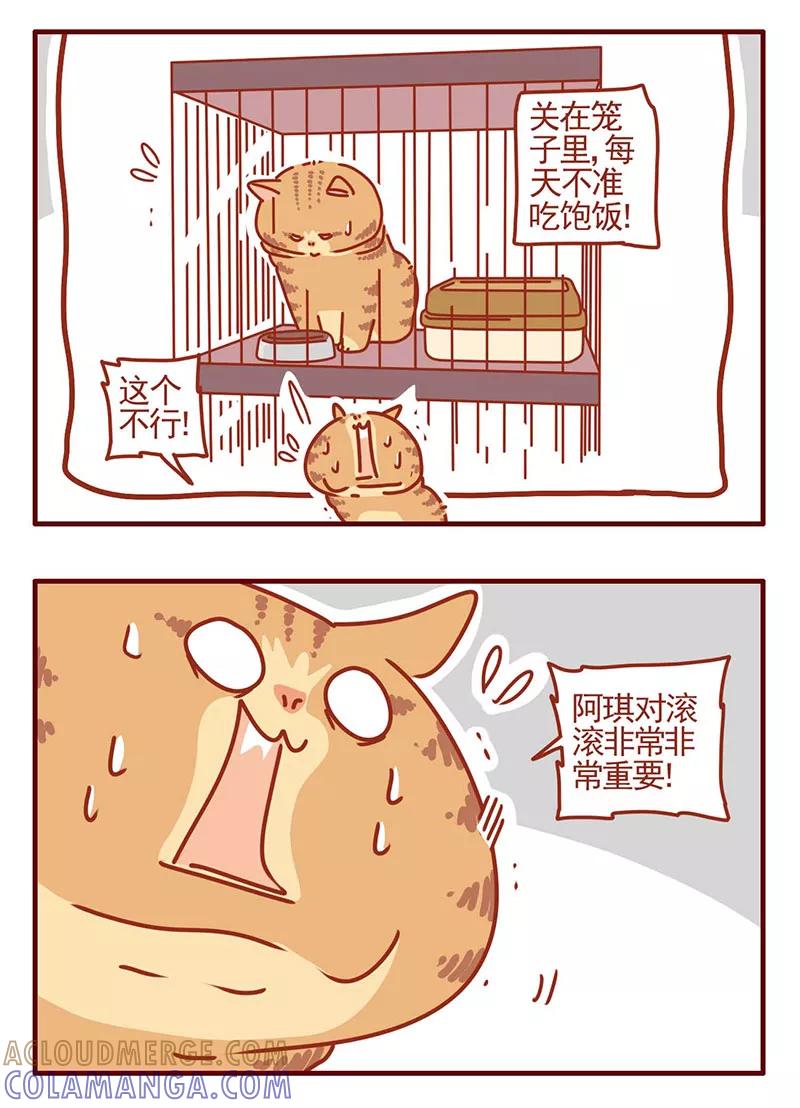 我只是一只小猫咪 第27话 第3页