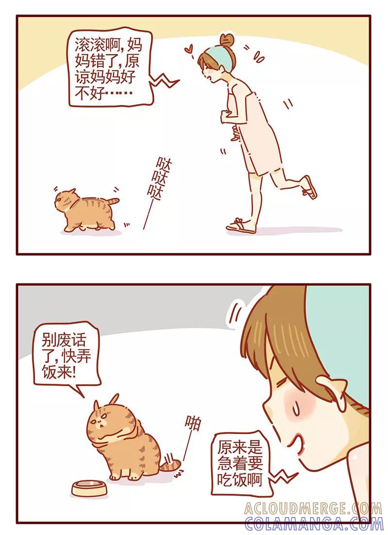 我只是一只小猫咪 第27话 第9页