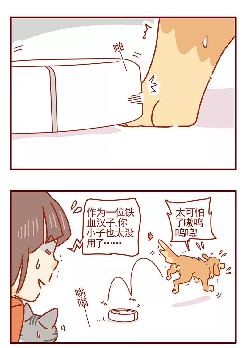 我只是一只小猫咪 第28话 第6页
