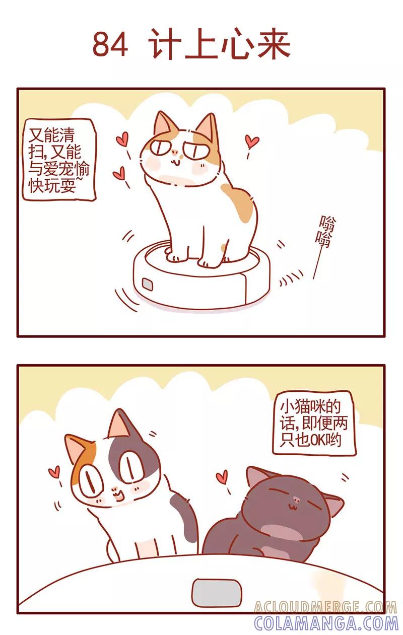 我只是一只小猫咪 第28话 第7页