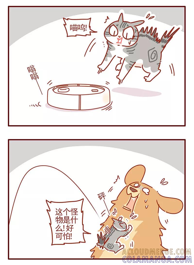 我只是一只小猫咪 第28话 第3页