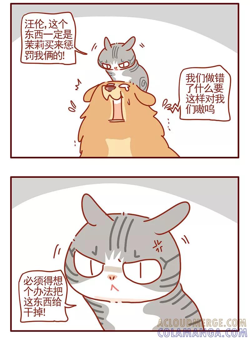 我只是一只小猫咪 第28话 第9页