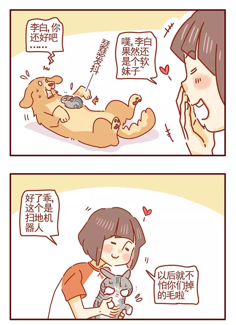 我只是一只小猫咪 第28话 第4页