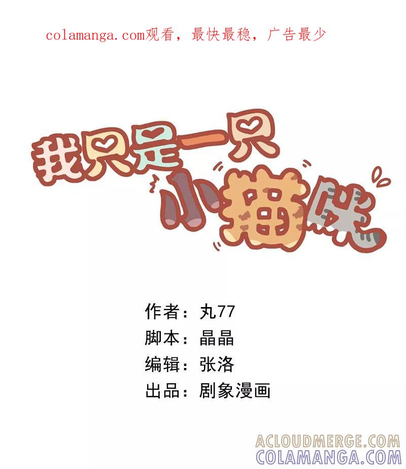我只是一只小猫咪 第28话 第1页