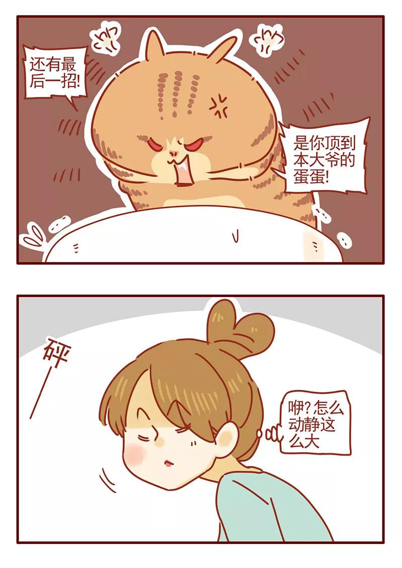 我只是一只小猫咪 第29话 第16页