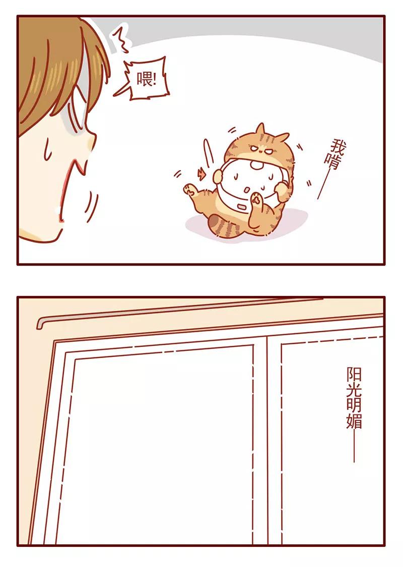 我只是一只小猫咪 第29话 第8页
