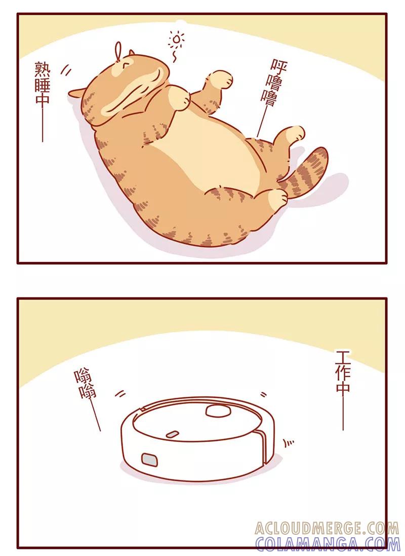 我只是一只小猫咪 第29话 第9页
