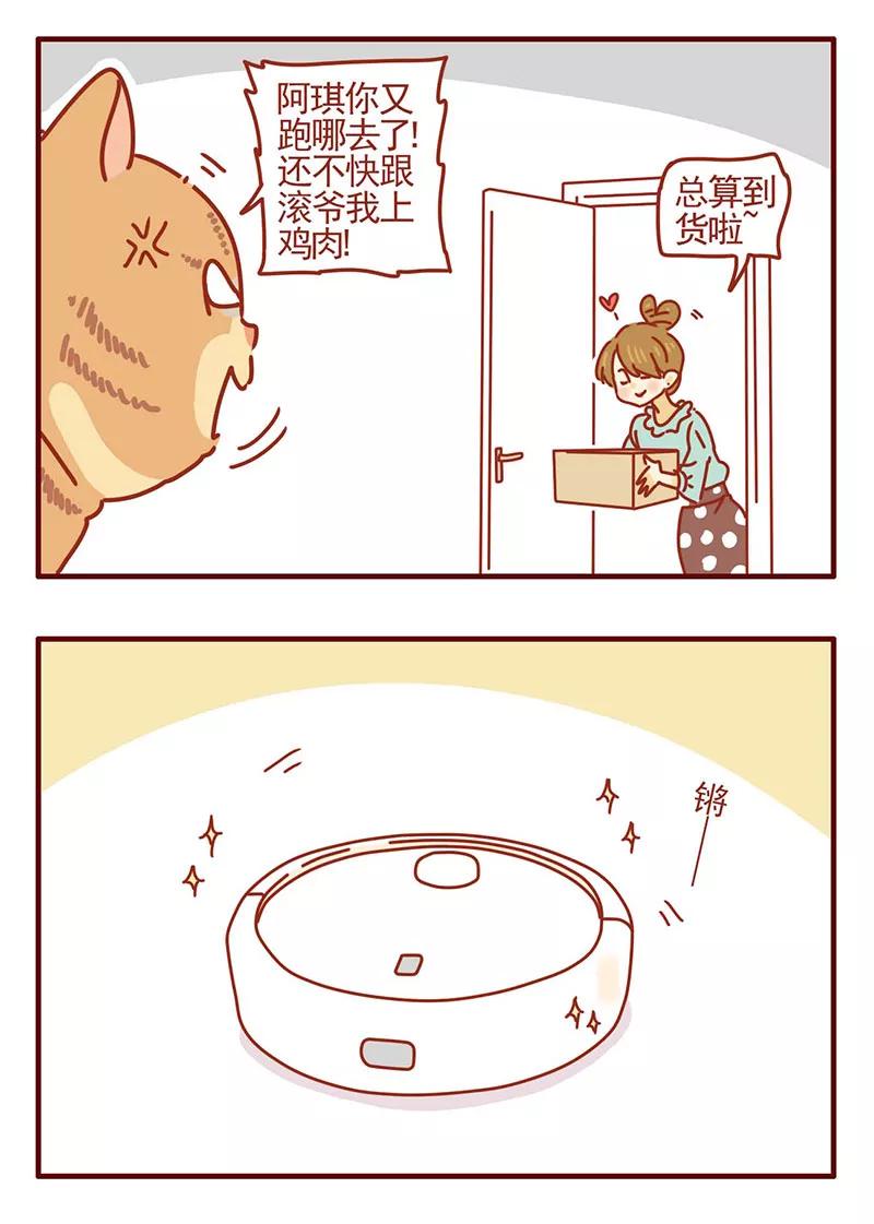 我只是一只小猫咪 第29话 第6页