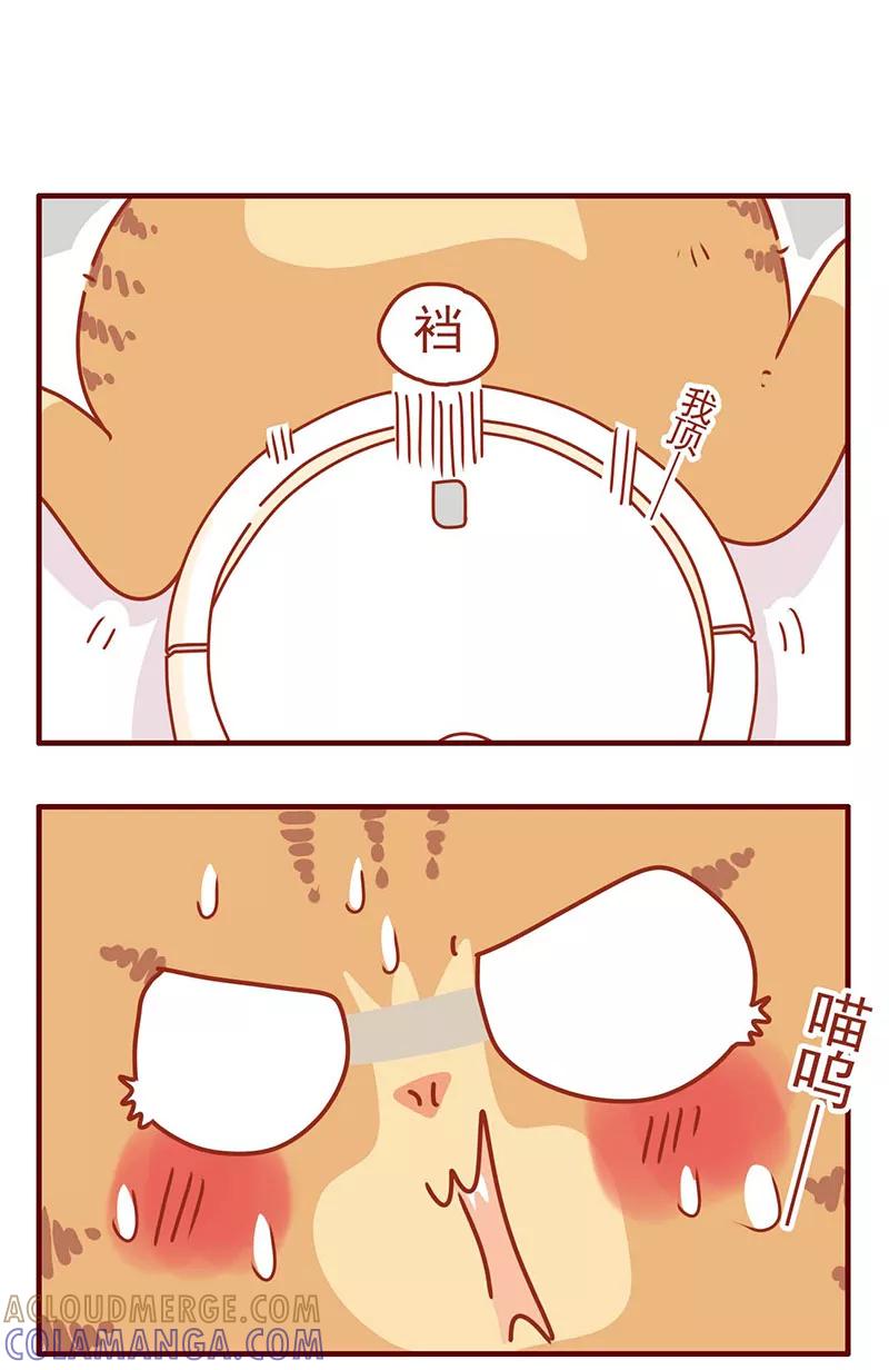 我只是一只小猫咪 第29话 第13页