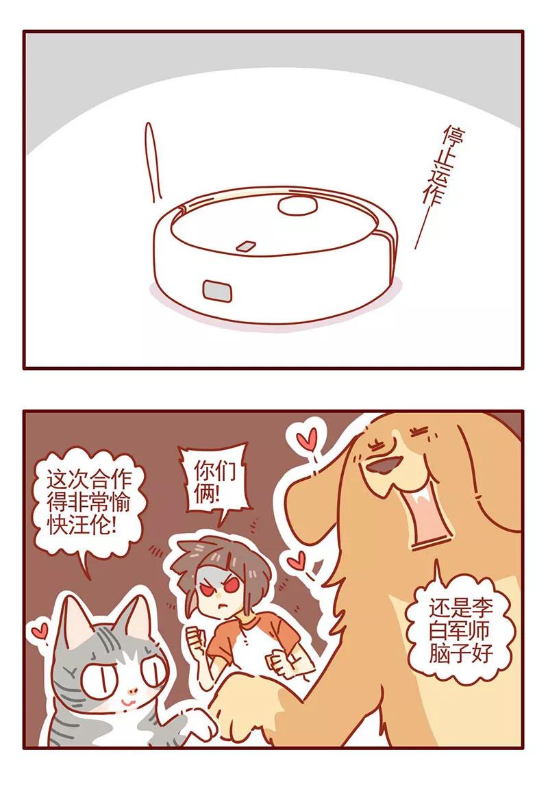 我只是一只小猫咪 第29话 第4页