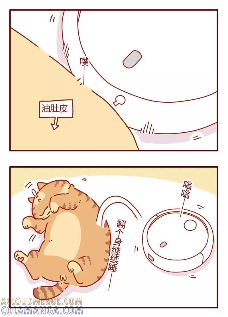 我只是一只小猫咪 第29话 第11页