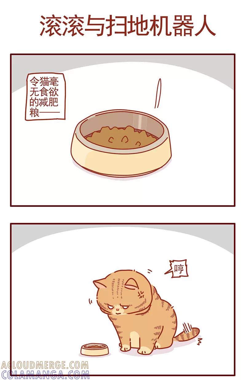 我只是一只小猫咪 第29话 第5页