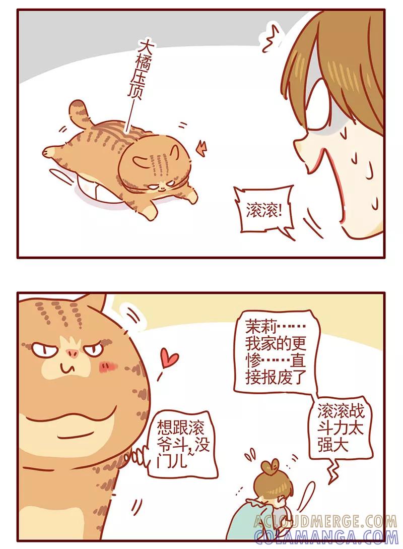 我只是一只小猫咪 第29话 第17页