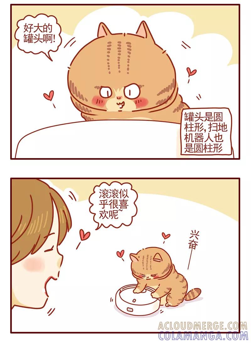 我只是一只小猫咪 第29话 第7页