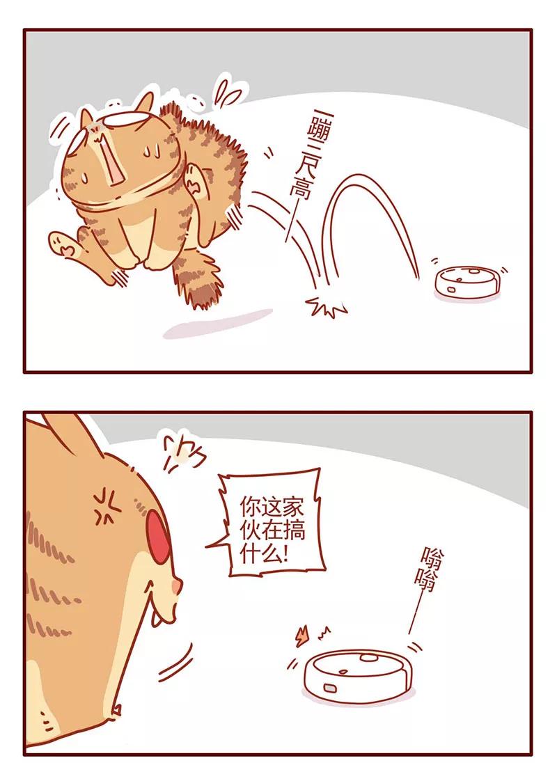 我只是一只小猫咪 第29话 第14页