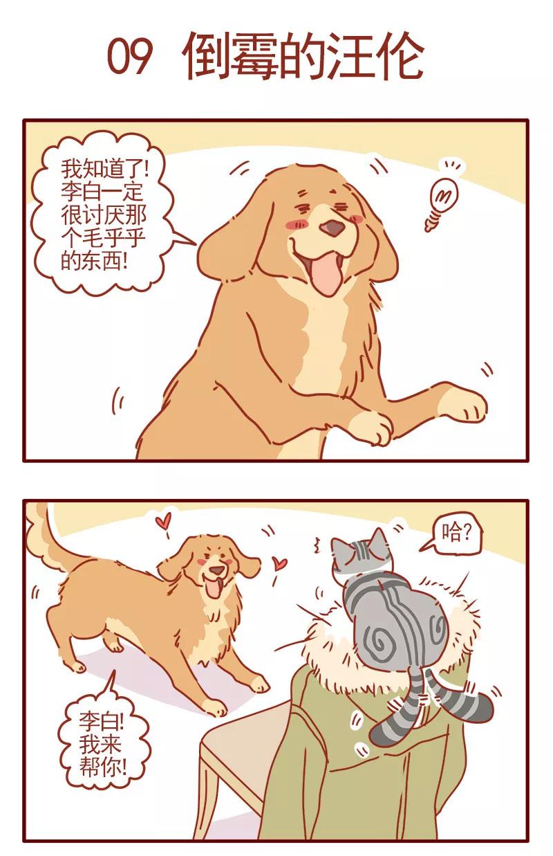 我只是一只小猫咪 第3话 第12页