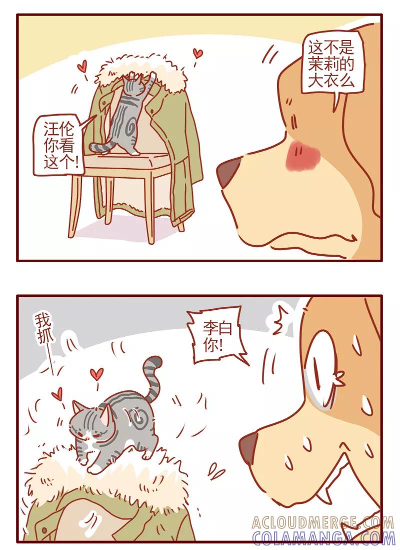 我只是一只小猫咪 第3话 第11页